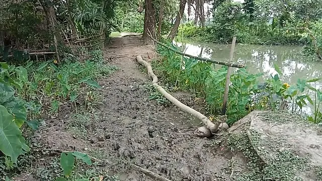ঝালকাঠিতে বারুহার-কুতুবকাঠি সড়কে চলাচলে দুর্ভোগ