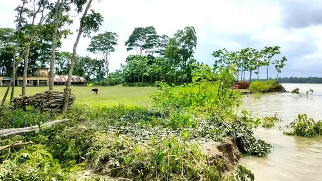 ঝালকাঠির বিষখালির নদীভাঙনে হুমকির মুখে ২ বিদ্যালয়