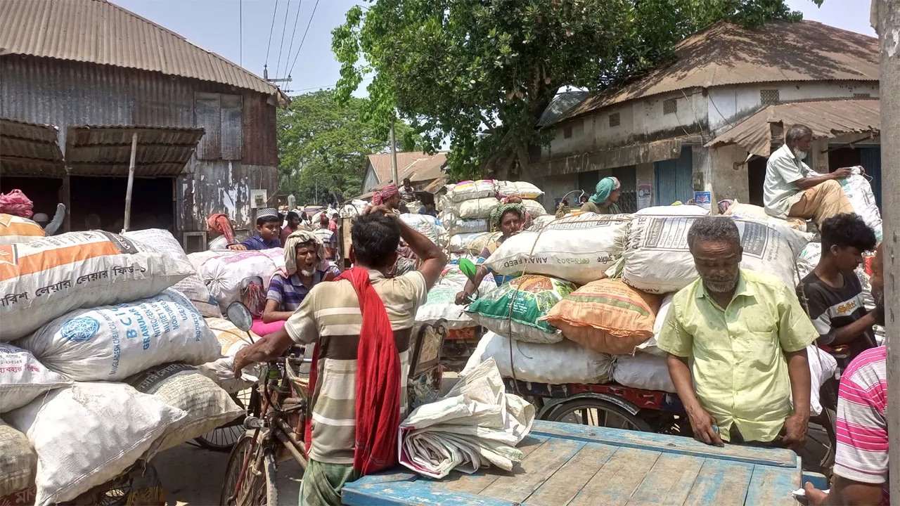 শৈলকুপায় পেঁয়াজের ন্যায্য দাম না পেয়ে হতাশ চাষিরা