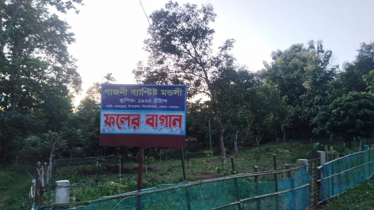 ঝিনাইগাতীতে ব্যাপ্টিস্ট চার্চের সাইনবোর্ড ঝুলিয়ে বনভূমি জবরদখলের অভিযোগ