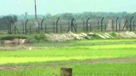 জীবননগর সীমান্তে বাংলাদেশীকে ধরে নিয়ে গেল বিএসএফ