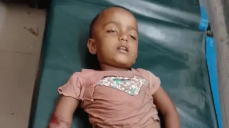 জীবননগরে পাখিভ্যানের ধাক্কায় সড়কে ঝরল শিশুর প্রাণ