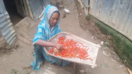 প্রধানমন্ত্রীর হাত থেকে ফ্যামিলি কার্ড নেবেন ভিকারিনি জখাতুন বিবি