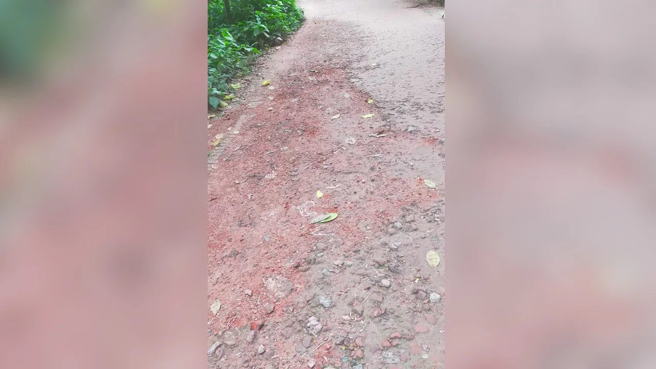 বাঘারপাড়ায় ৫ বছরেও শেষ হয়নি সড়কের কার্পেটিংয়ের কাজ