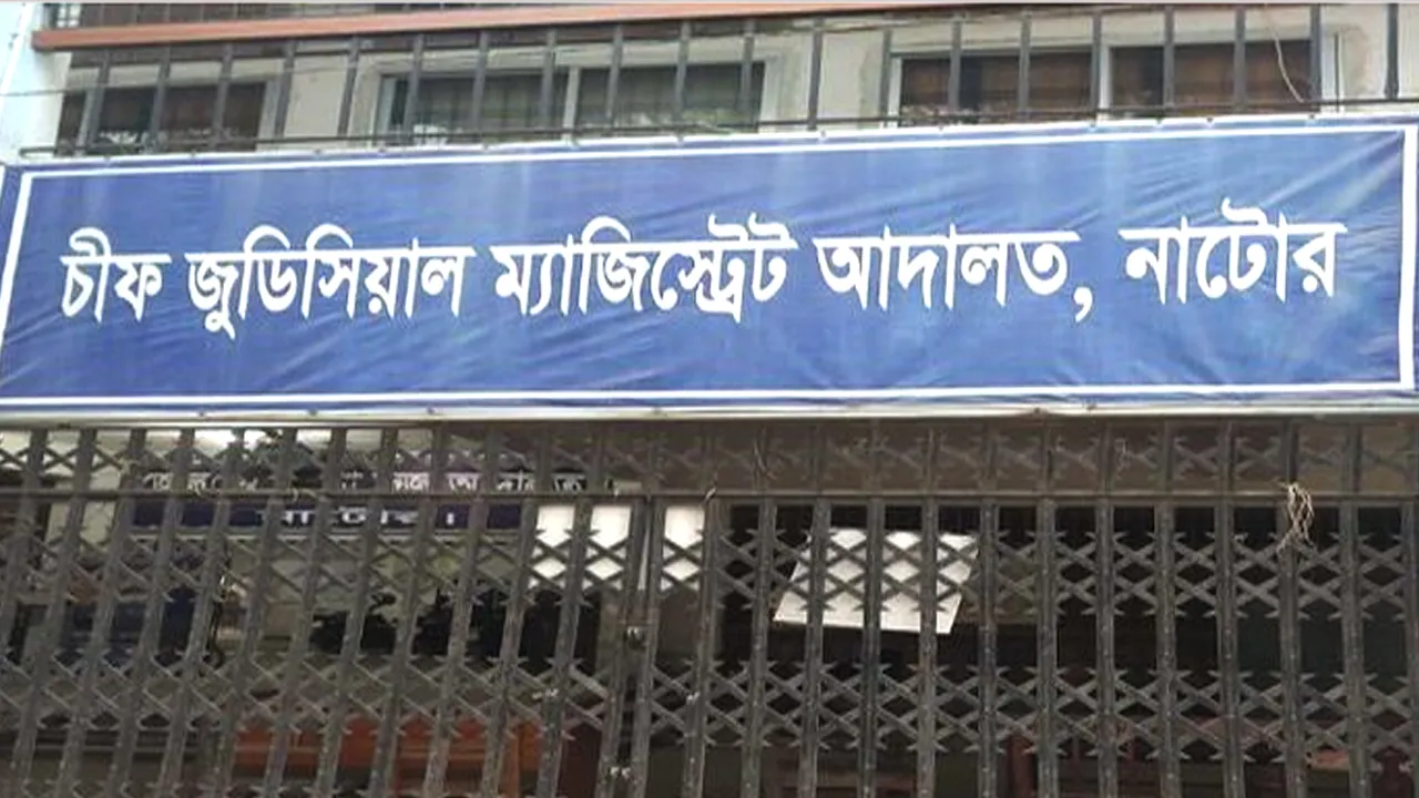 নাটোরে অস্ত্র মামলায় যুবকের ২০ বছরের সশ্রম কারাদণ্ড