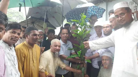 কলাপাড়ায় ওলামা দলের বৃক্ষরোপণ কর্মসূচি