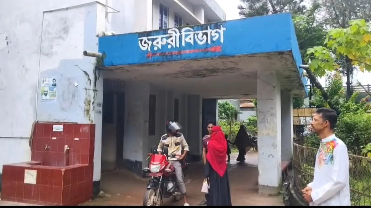 কলাপাড়ায় ডেঙ্গুতে বৃদ্ধের মৃত্যু, নতুন শনাক্ত ৭
