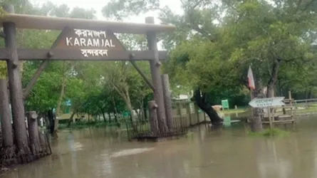 নিম্নচাপে বেড়েছে পানি, তলিয়ে গেছে সুন্দরবনের পর্যটনকেন্দ্র করমজল