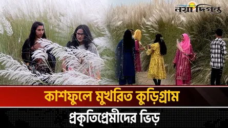 দিগন্ত জোড়া কাশফুলের সৌন্দর্যে মুখরিত কুড়িগ্রামের চরাঞ্চল