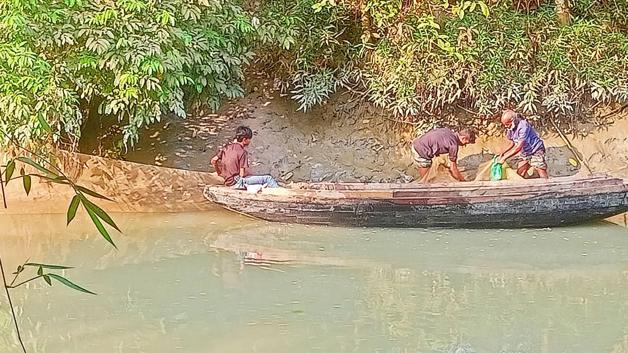 কাউখালীতে প্রশাসনের চোখ ফাঁকি দিয়ে চরগড়া জালের মহোৎসব চলছে