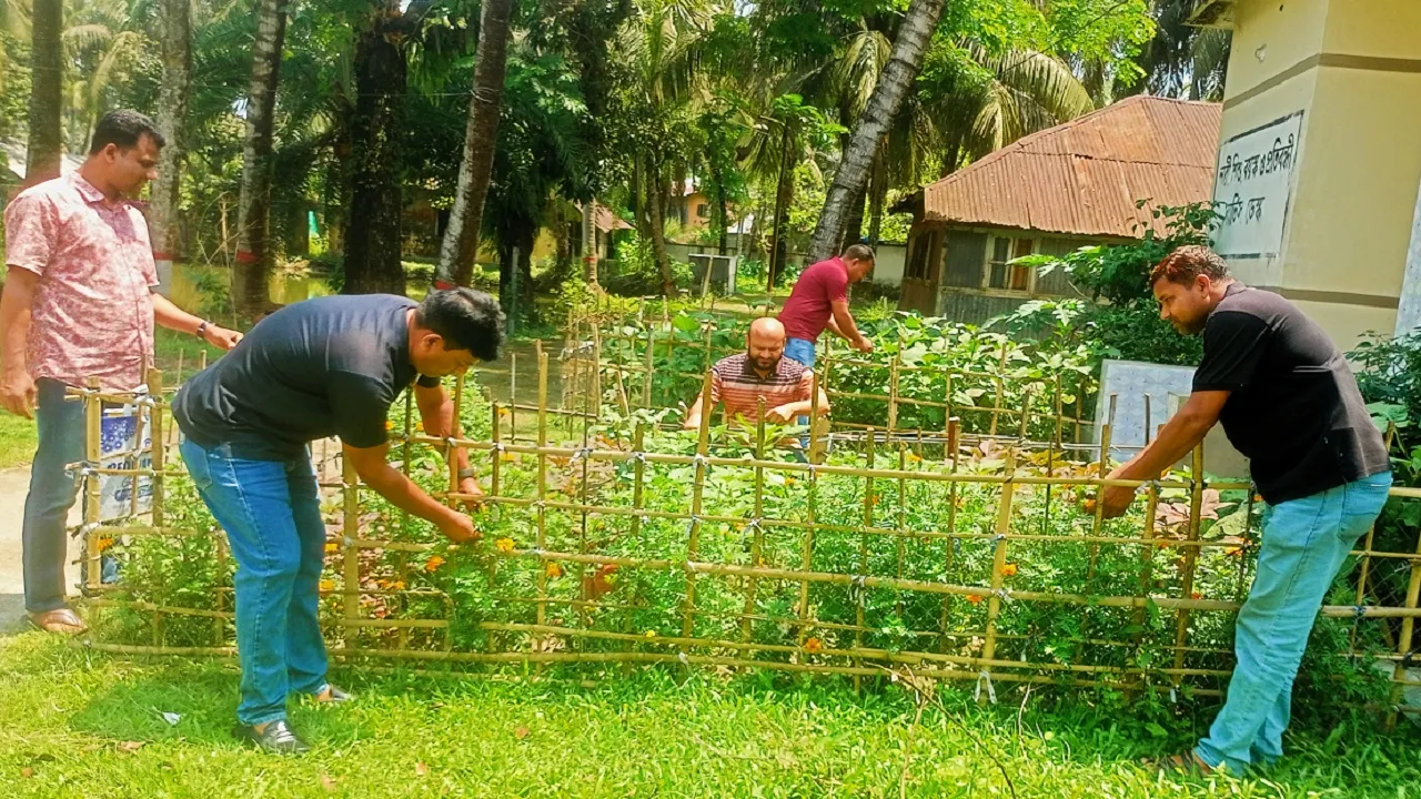 কাউখালী থানা প্রাঙ্গণে সবজি চাষ, ওসির উদ্যোগে মেটানো হচ্ছে পুষ্টির চাহিদা