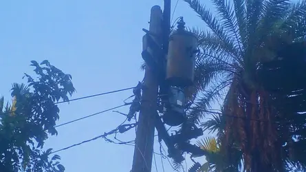 কাউখালীতে কালবৈশাখী ঝড়ে তিন ইউনিয়নে বিদ্যুৎ বিচ্ছিন্ন