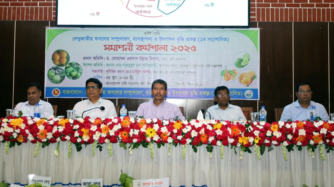 উৎপাদন বেড়েছে ২৫ শতাংশ, রফতানি দ্বিগুণেরও বেশি
