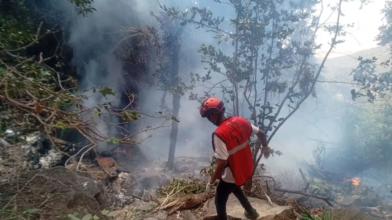 কেনিয়ায় হেলিকপ্টার বিধ্বস্ত, ইকুয়েডরের গোয়েন্দা প্রধানসহ নিহত ৭