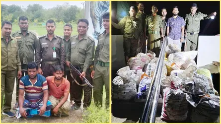 সুন্দরবনে নিষিদ্ধ সময়ে মাছ ও কাঁকড়া শিকার, ২ জেলে আটক