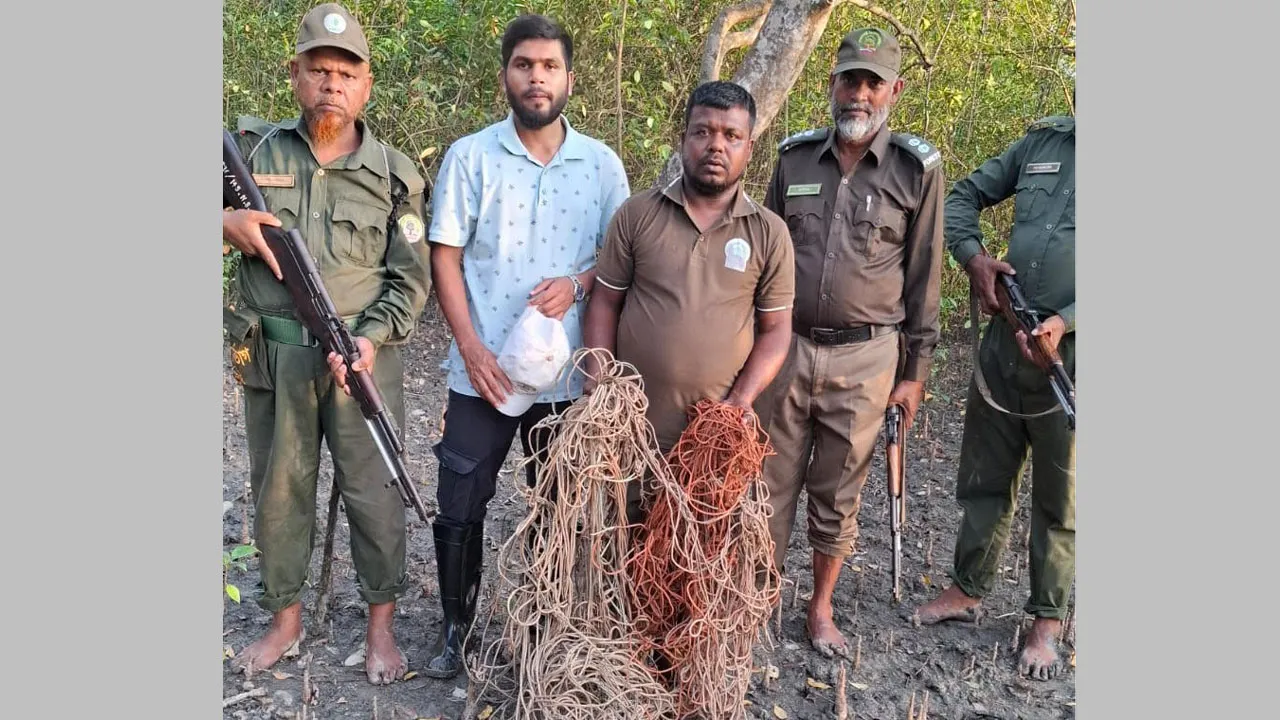 সুন্দরবনে ১৫ শ’ ফুট হরিণ ধরার ফাঁদ উদ্ধার