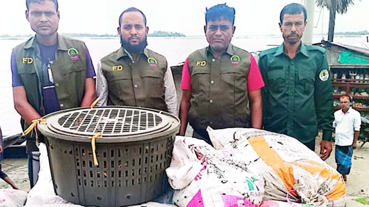 সুন্দরবনে বন বিভাগের অভিযানে ১৭০ কেজি কাঁকড়াসহ ৪ নৌকা জব্দ