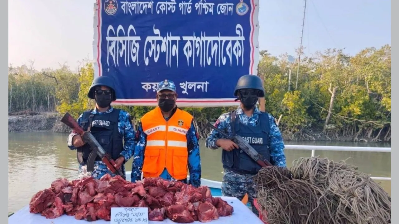 সুন্দরবনে ১০০ কেজি হরিণের গোশত ও ৪ হাজার মিটার ফাঁদ জব্দ