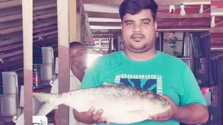 জেলের জালে রাজা ইলিশ, দাম ৯ হাজার টাকা