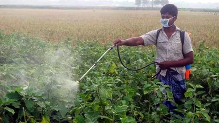 কীটনাশক উৎপাদনে বাড়ছে আমদানিনির্ভরতা