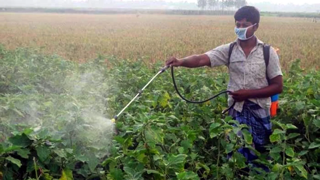 কীটনাশক উৎপাদনে বাড়ছে আমদানিনির্ভরতা