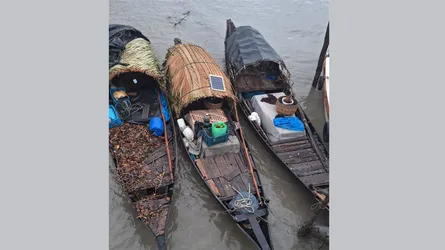 সুন্দরবনে নিষিদ্ধ জাল দিয়ে মাছ শিকার, ৩ জেলেসহ তিন নৌকা আটক