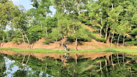 ঈদের ছুটিতে দর্শনার্থীদের পদচারণায় মুখরিত কমলগঞ্জ