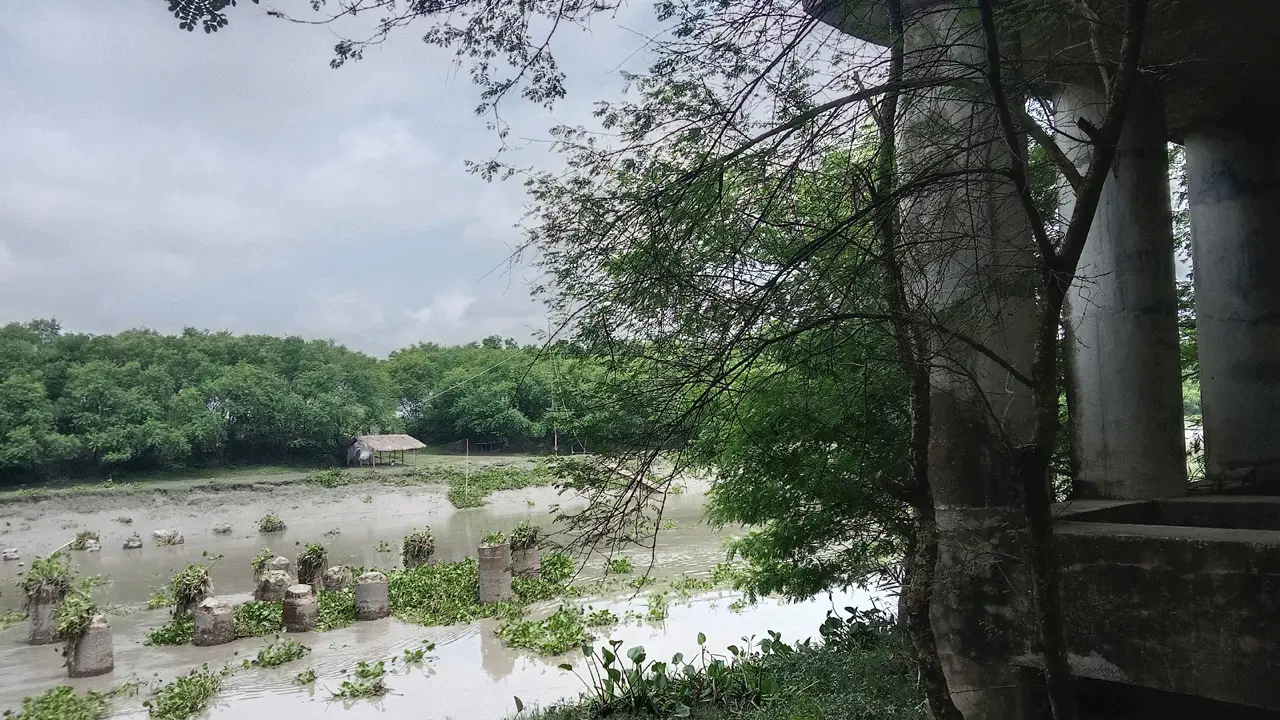 কপোতাক্ষের কপিলমুনিতে সেতু নির্মাণ কাজ শেষ হয়নি ২৬ বছরেও