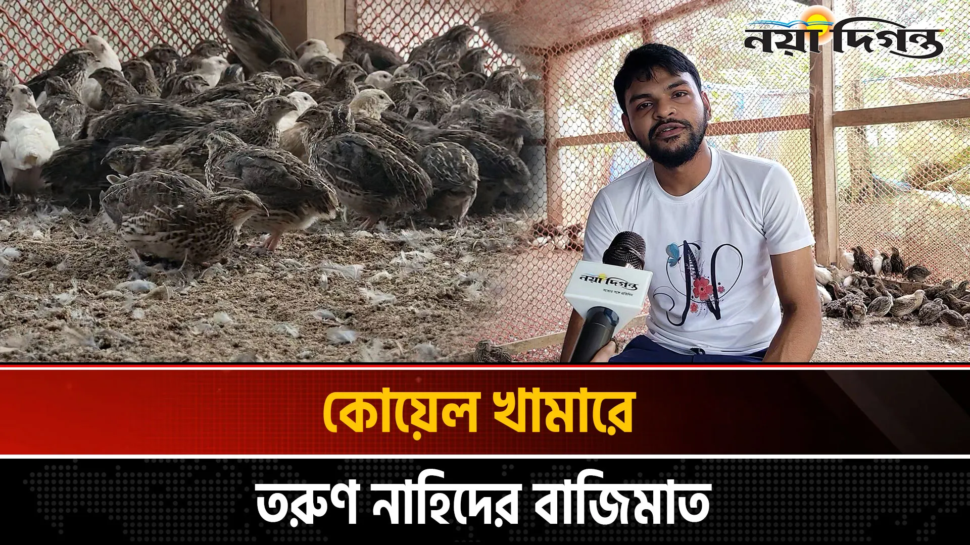 ইউটিউবে কোয়েল পাখির খামার দেখে আজ সফল উদ্যোক্তা