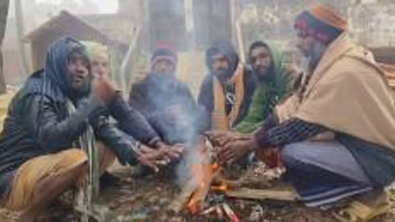 কুয়াকাটায় ঘন কুয়াশা, বেড়েছে শীতের তীব্রতা