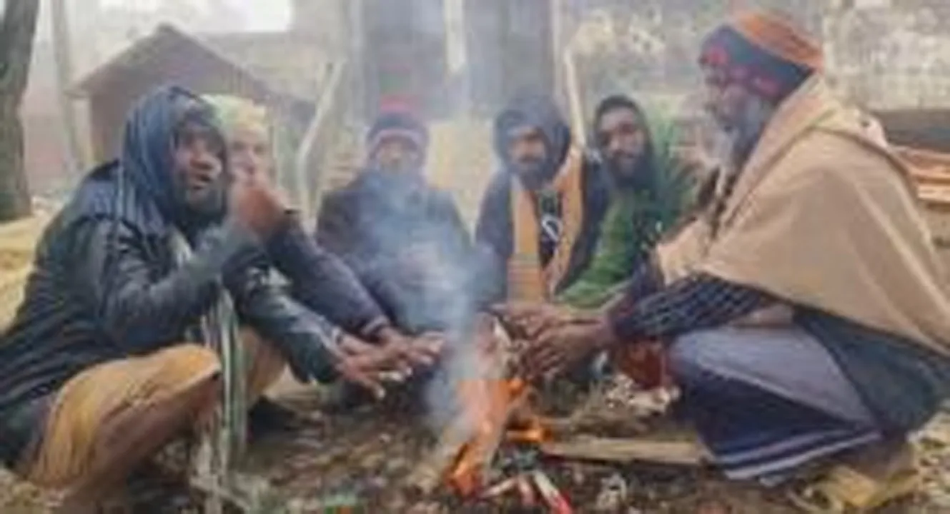 কুয়াকাটায় ঘন কুয়াশা, বেড়েছে শীতের তীব্রতা