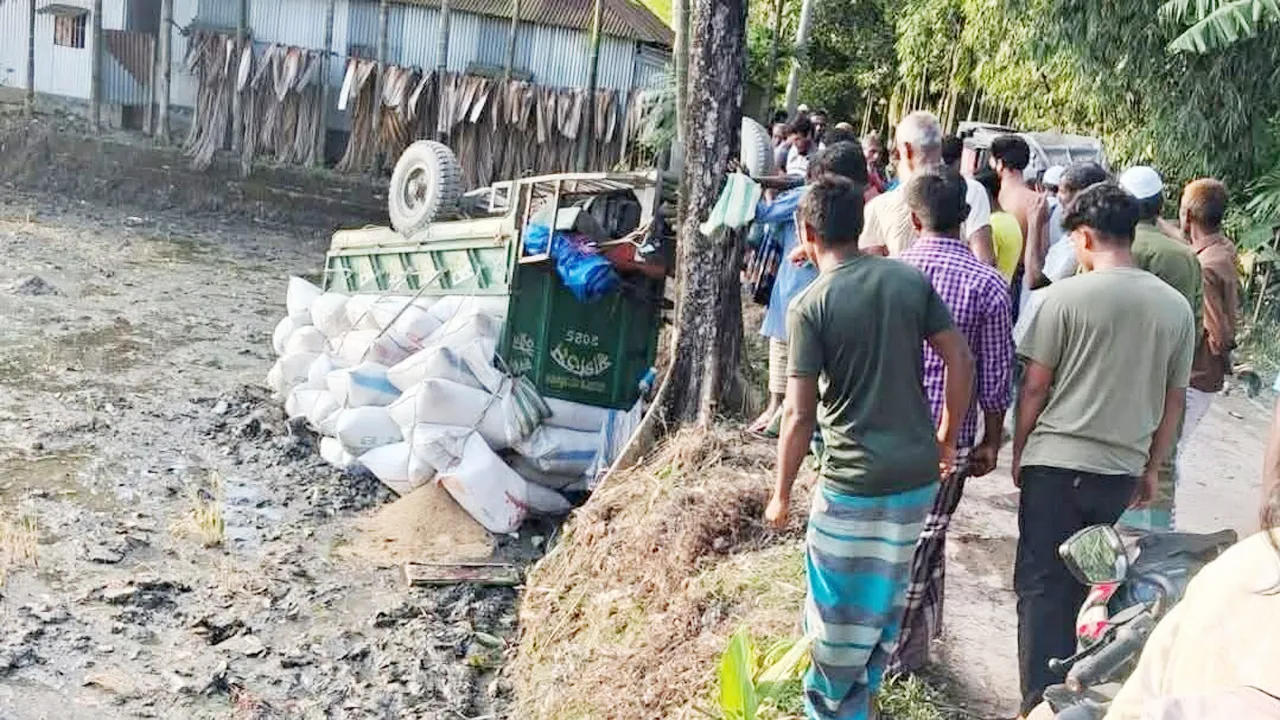 ভূরুঙ্গামারীতে বস্তাবোঝাই নসিমন উল্টে চালক নিহত