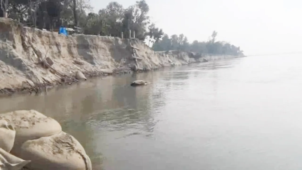 পানি কমতেই ব্রহ্মপুত্রে তীব্র ভাঙন, আতঙ্কে নদীতীরের বাসিন্দারা
