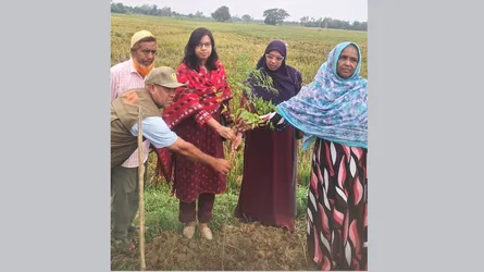 কুড়িগ্রামে বিশ্ব পরিবেশ দিবস উদযাপন