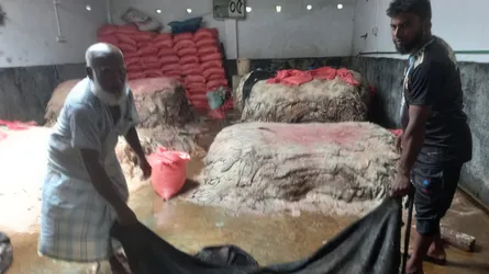 কুষ্টিয়ায় চামড়ার বাজারে মন্দা, ল্যাম্পি রোগকে দায়ী করছেন ব্যবসায়ীরা