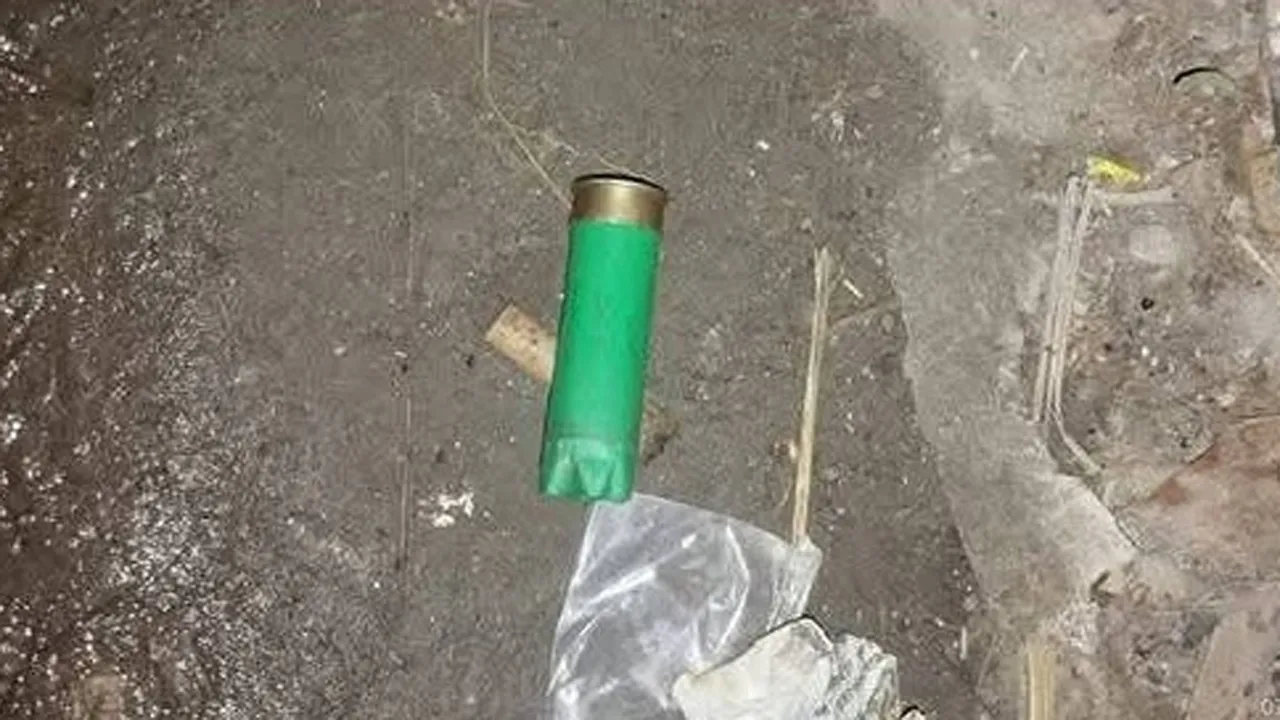 ভেড়ামারায় বালু উত্তোলন নিয়ে বিএনপির দুই গ্রুপে উত্তেজনা, গুলিবিদ্ধ ১