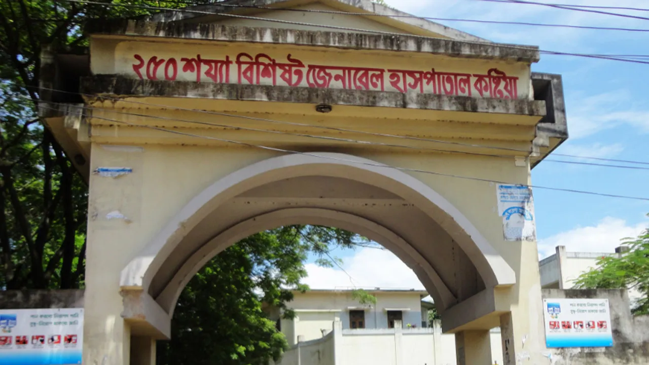 কুষ্টিয়ায় সাংবাদিকের ওপর সন্ত্রাসী হামলা