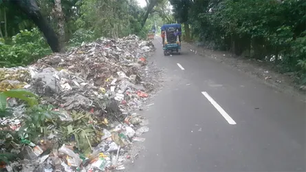 লালমোহনে সড়কের পাশে ময়লার ভাগাড়, স্থায়ী ডাম্পিং স্টেশন নির্মাণের দাবি