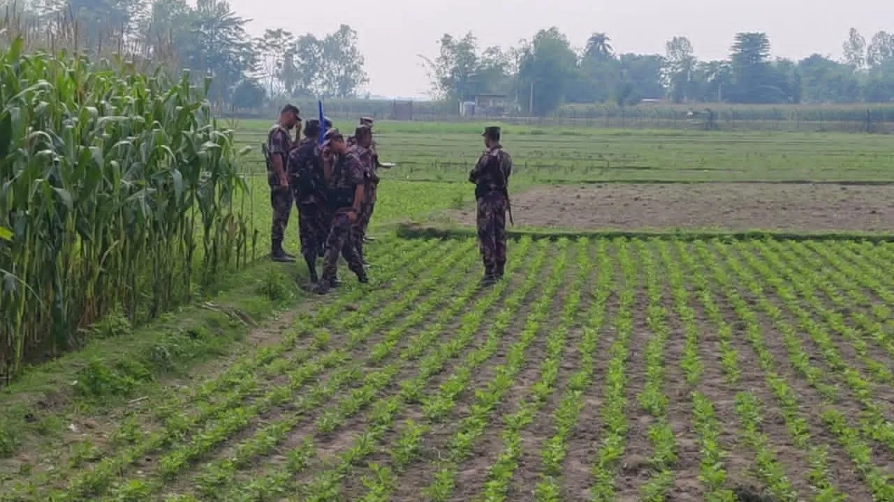 লালমনিরহাট সীমান্তে বাংলাদেশীকে হত্যার পরে আরেক যুবককে ধরে নিয়ে গেছে ভারতীয়রা