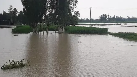 তিস্তার পানি বাড়ছে, লালমনিরহাটে বড় বন্যার আশঙ্কা