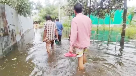 তিস্তার পানি কমলেও কমেনি নিম্নাঞ্চলের দুর্ভোগ, পানিবন্দী হাজারোও মানুষ