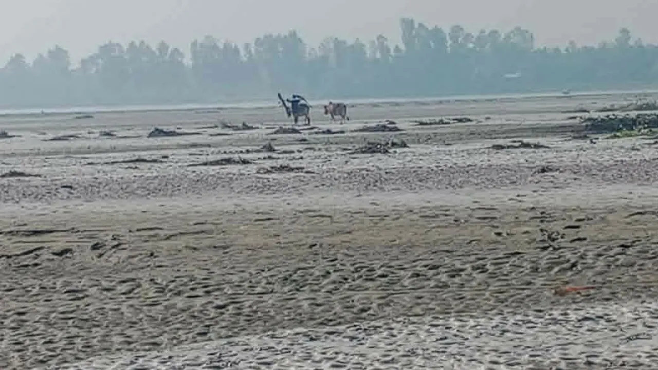 পানি শূন্য তিস্তার বুকে হালচাষ, সঙ্কটে উত্তরাঞ্চলের কৃষক