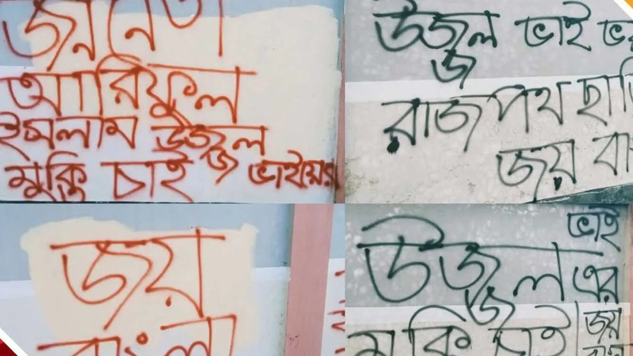 লালপুরে যুবলীগ নেতার মুক্তি দাবিতে দেয়াল লিখন