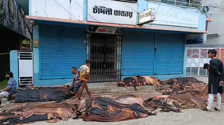 বগুড়ায় চামড়ার বাজারে ধস, বিপাকে মৌসুমি ব্যবসায়ীরা
