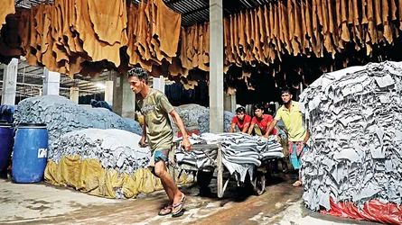 চামড়া রফতানিতে সম্ভাবনার চেয়ে সঙ্কটই বেশি