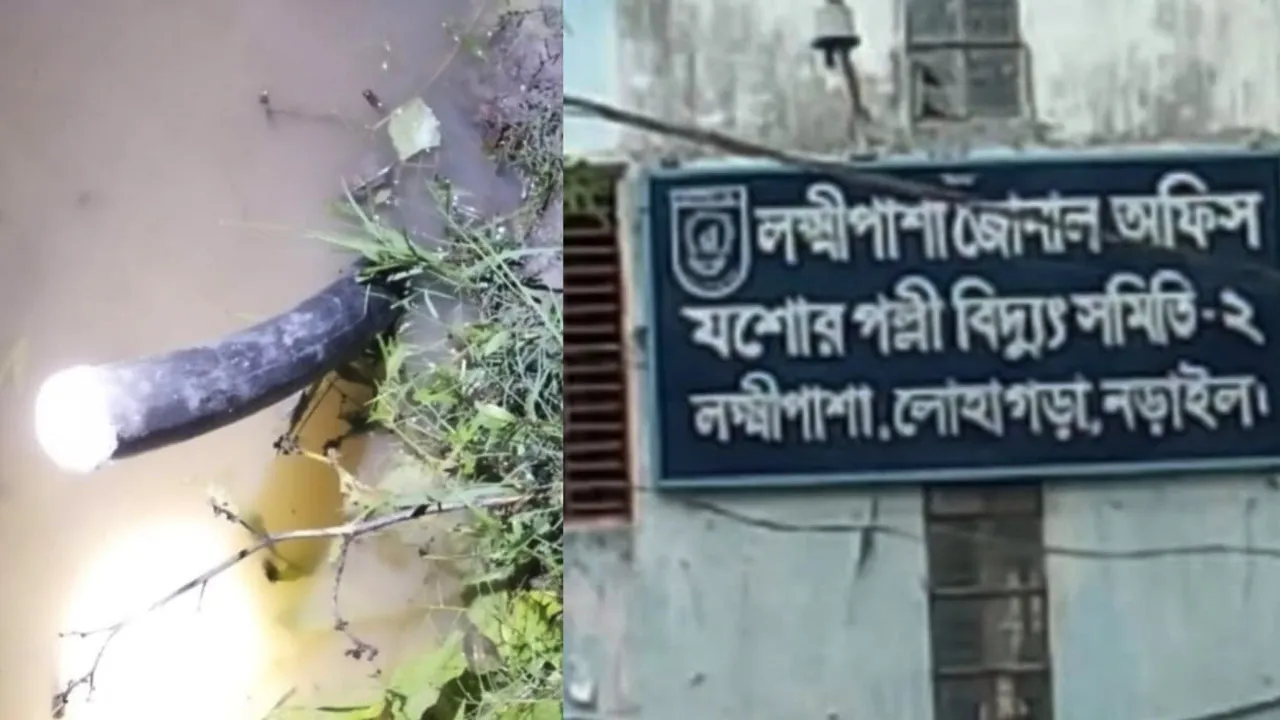 লোহাগড়ায় আন্ডারগ্রাউন্ড বিদ্যুৎ ক্যাবল চুরি, জনজীবনে দুর্ভোগ চরমে
