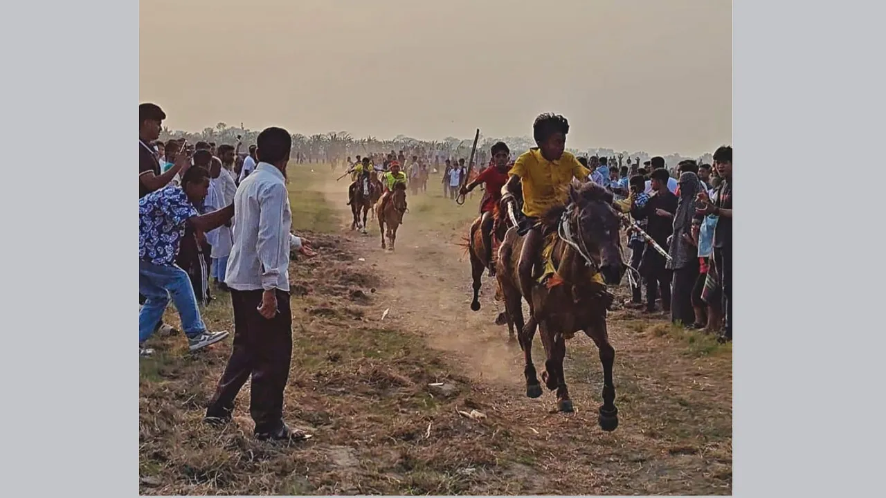 লোহাগড়ায় ঘোড়দৌড় প্রতিযোগিতায় মানুষের ঢল