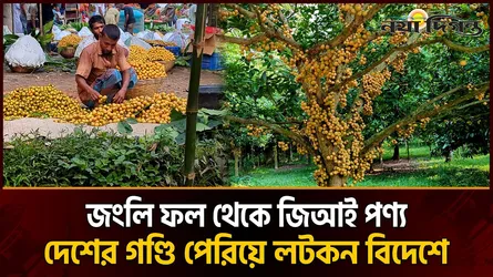 দেশ পেরিয়ে বিদেশেও বাড়ছে নরসিংদীর লটকনের চাহিদা