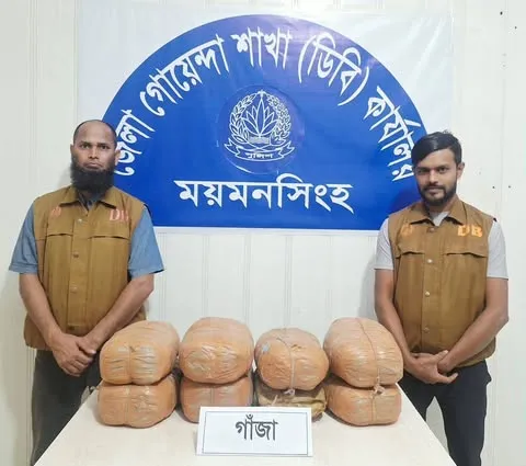 ময়মনসিংহে পুলিশের অভিযানে ১৫ কেজি গাঁজা উদ্ধার