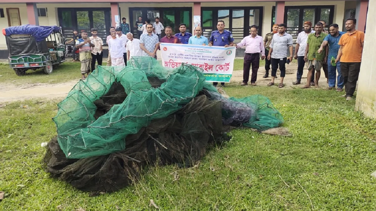 মদনে বিপুল পরিমাণ অবৈধ জাল জব্দ ও পুড়িয়ে বিনষ্ট